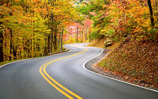 Fall road winding through a forest