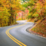 Fall road winding through a forest