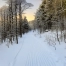winter-trail-in-the-woods