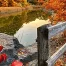 fall-scene, autumn colours and a pond with a fence